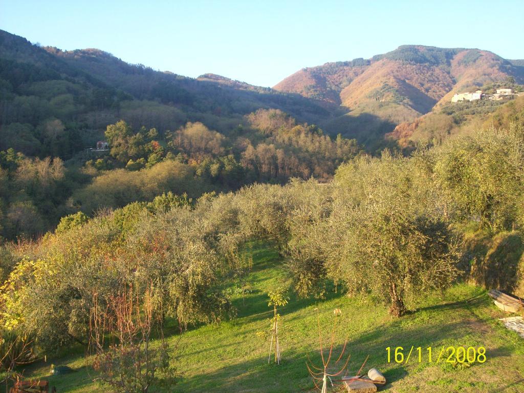 La Casa Dei Limoni Lägenhet Matraia Exteriör bild